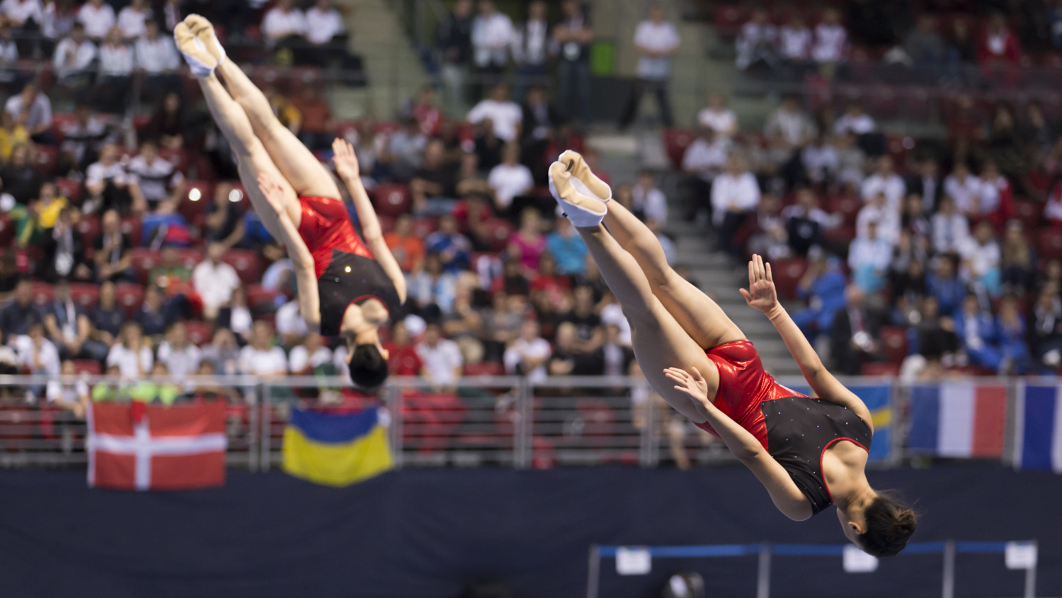 Photographie couleur de l'équipe de la République Populaire de Chine en Trampoline Synchronisé avec Zhong Xingping et Liu Lingling en position de salto tendue