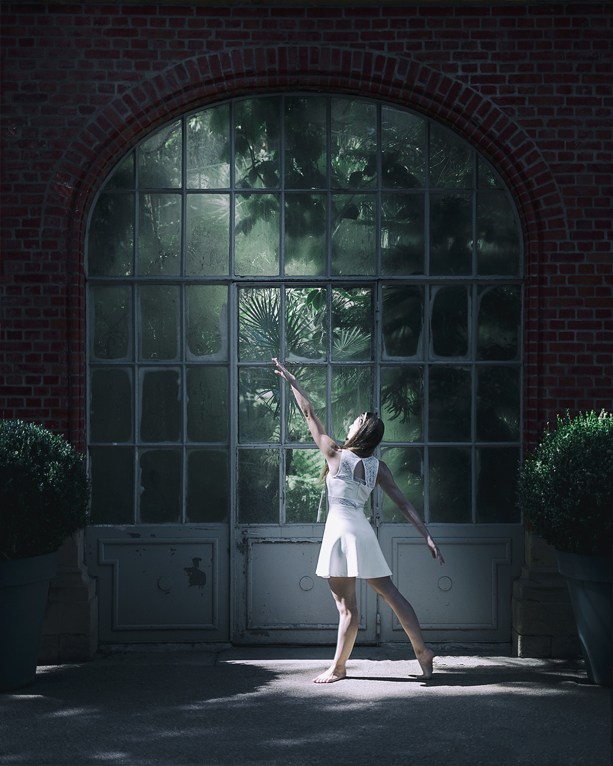 Photographie couleur avec la mise en scène d'une danseuse devant une serre