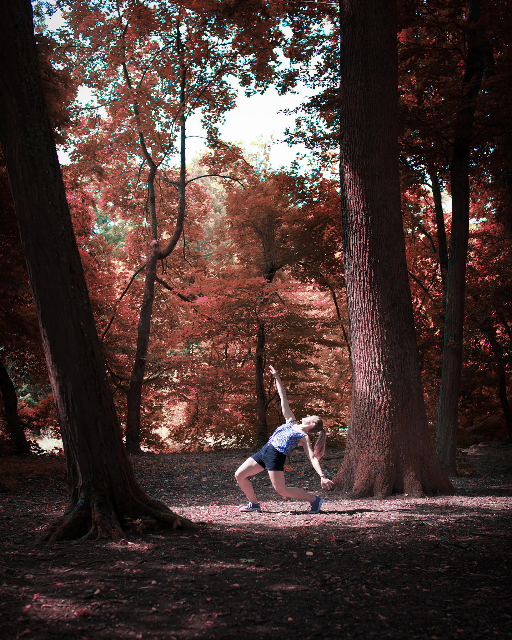 Photographie couleur d'une danseuse, mise en scène dans une forêt au couleur de l'automne